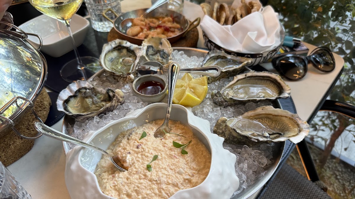 Oysters on ice